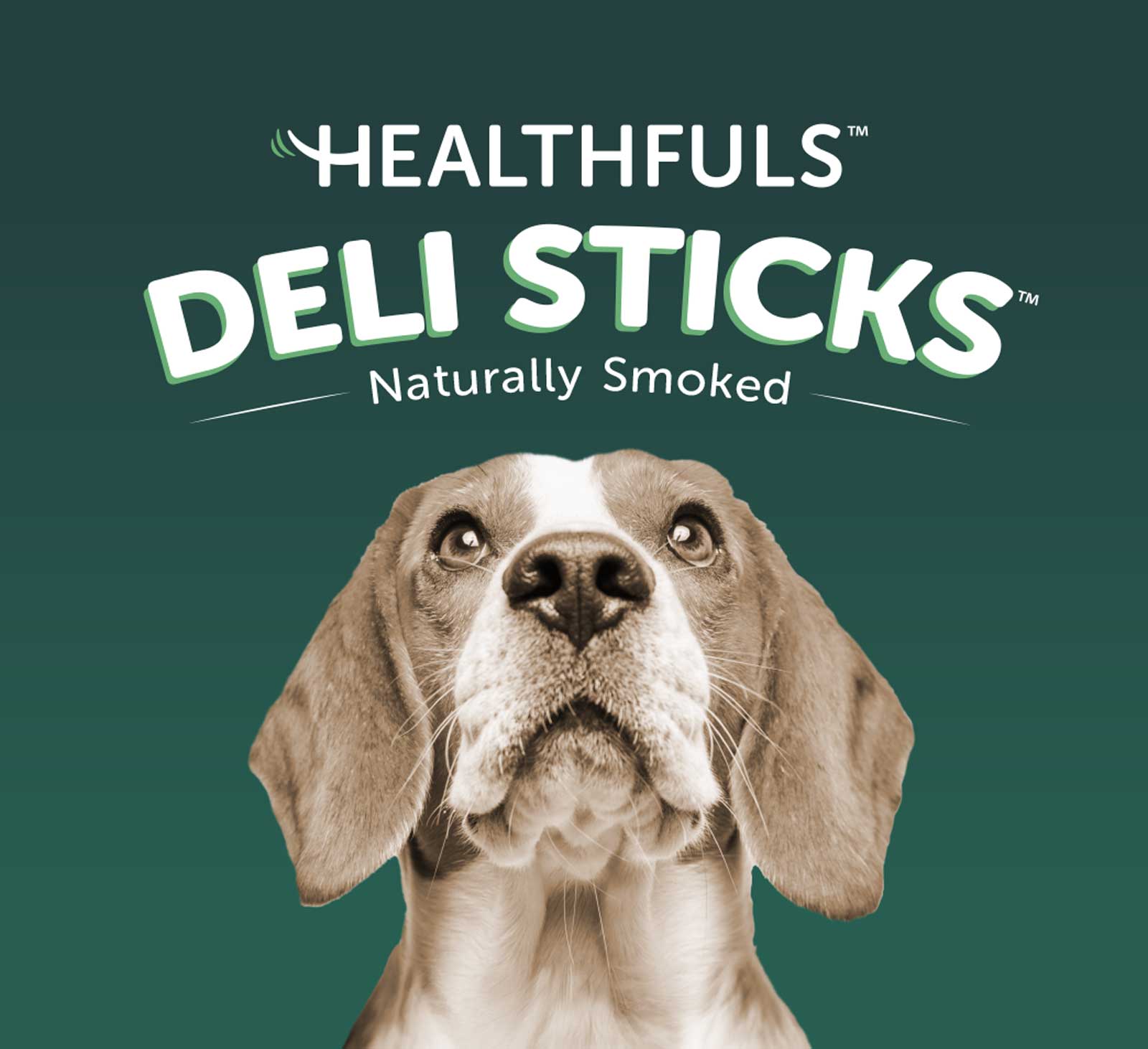 Healthfuls dog treats shop